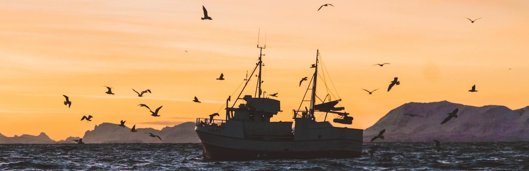 4 Most Common Fishing Boat Accidents & Their Demographics